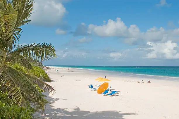 A view of a pink sandy beach on Harbour Island in the Bahamas