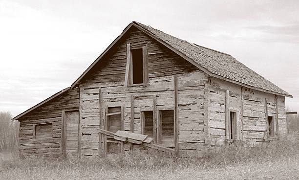 d'epoca seppia barn - saskatoon saskatchewan prairie field foto e immagini stock