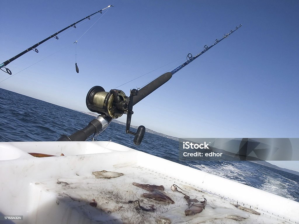 Pesca deportiva - Foto de stock de Calamar libre de derechos