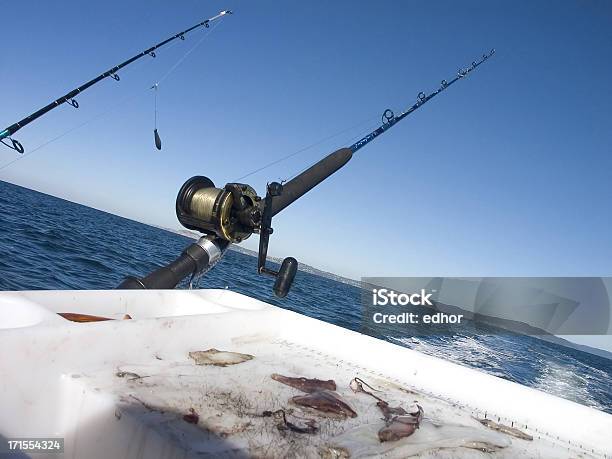 Pesca Deportiva Foto de stock y más banco de imágenes de Calamar - Calamar, Pescar, Agua