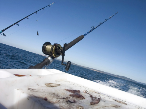 Photo of a overhead reel on a boat rod.