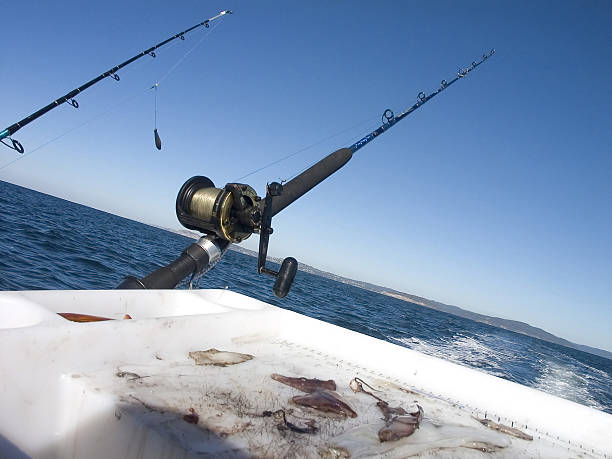 Game Fishing stock photo