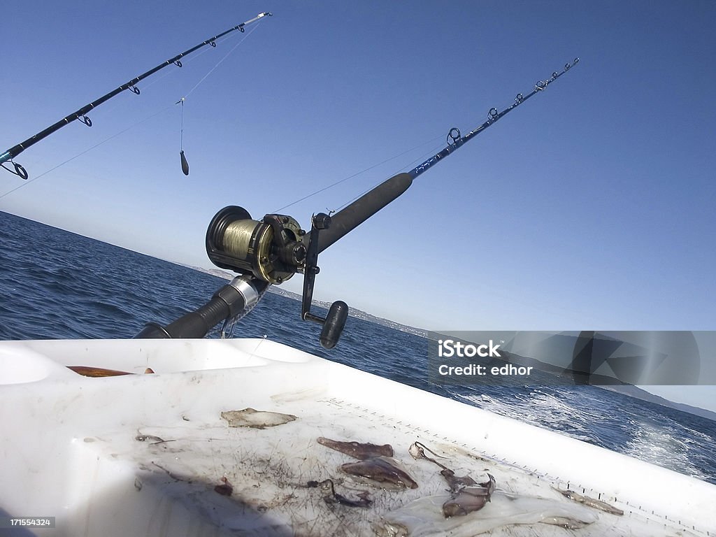 Pesca esportiva - Foto de stock de Lula royalty-free