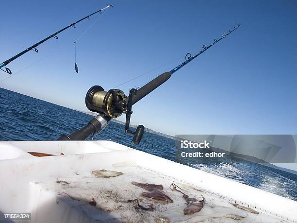 Foto de Pesca Esportiva e mais fotos de stock de Lula - Lula, Pescaria, Anzol de pesca