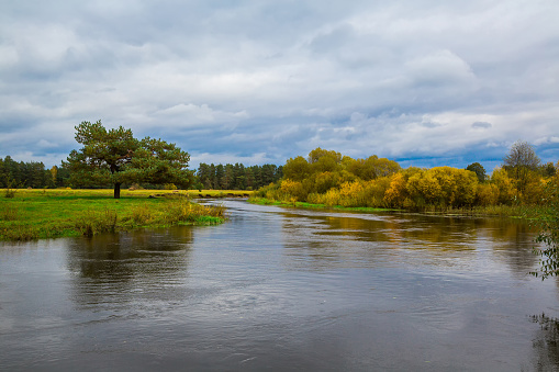 Autumn river landscape in Belarus river Neman. Scenic nature, rural river landscape. Autumn Nature