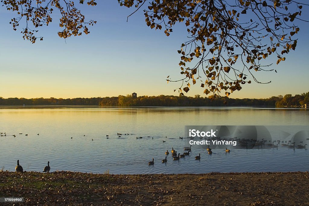 Lakeshore rano - Zbiór zdjęć royalty-free (Jezioro)