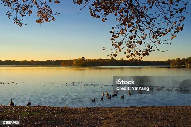 Lakeshore Rano - zdjęcia stockowe i więcej obrazów Jezioro - Jezioro, St Paul, Stan Minnesota