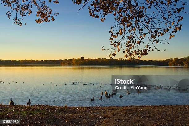 Lakeshore De Manhã - Fotografias de stock e mais imagens de Lago - Lago, Minnesota, Saint Paul - Minnesota