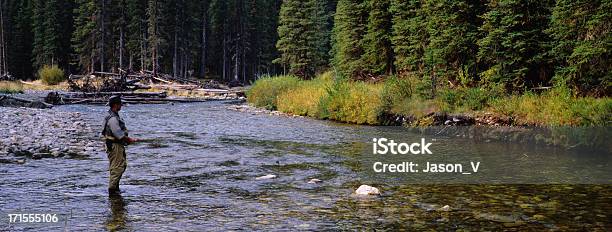 Photo libre de droit de Pêche À La Mouche En Arrièreplan Une Vue Panoramique banque d'images et plus d'images libres de droit de Alberta