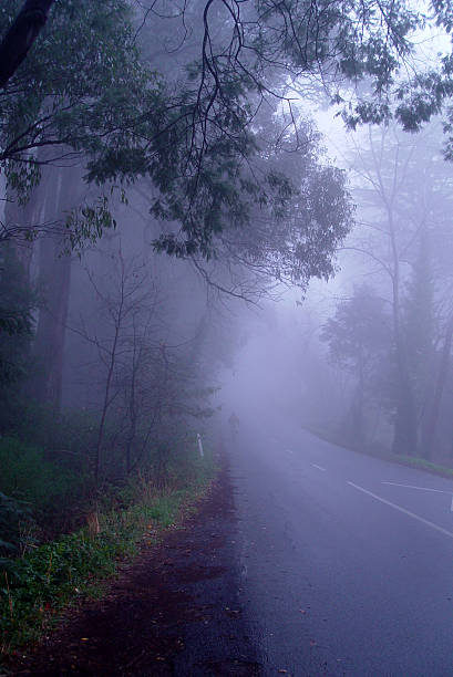 istock Boy on bike up misty road 171555115