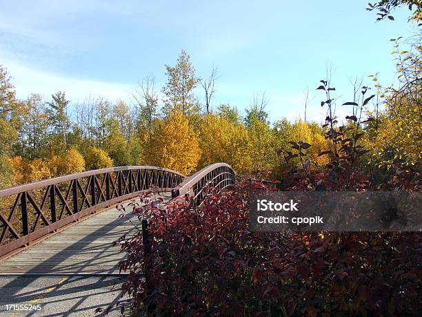 Stopy Most Dla Pieszych Bear Creek W Jesiennym - zdjęcia stockowe i więcej obrazów Alberta - Alberta, Grande Prairie, Droga dla pieszych