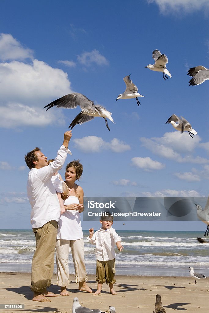 Família na praia - Foto de stock de Amor royalty-free