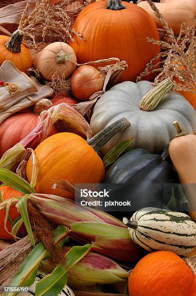 秋の収穫 - 収穫するのストックフォトや画像を多数ご用意 - 収穫する, 時, オレンジ色