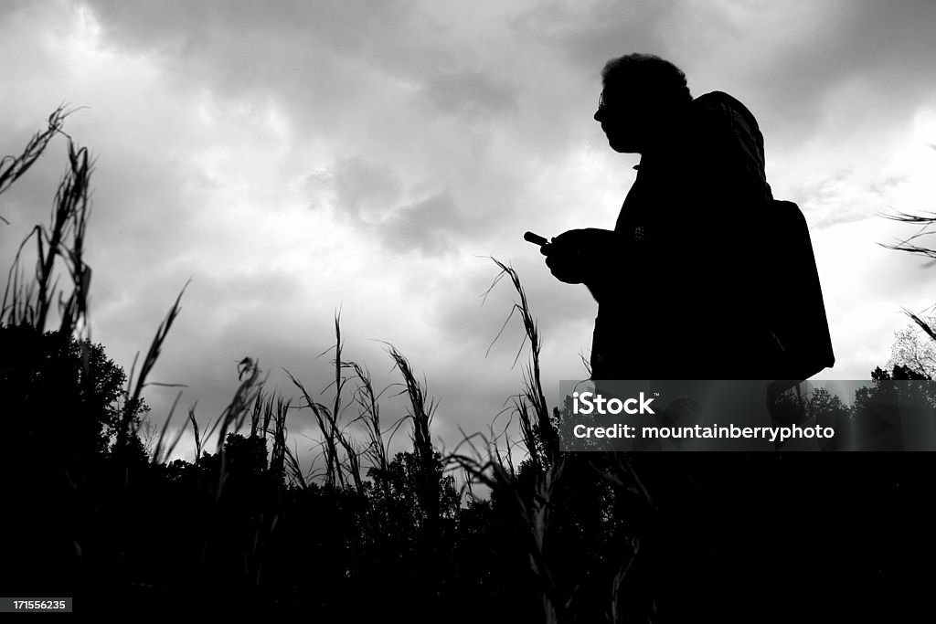 Telefone aviários - Foto de stock de Animais caçando royalty-free