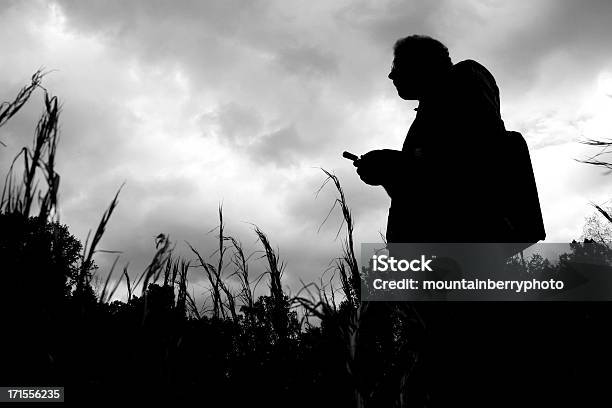 Foto de Telefone Aviários e mais fotos de stock de Animais caçando - Animais caçando, Animal selvagem, Conceito