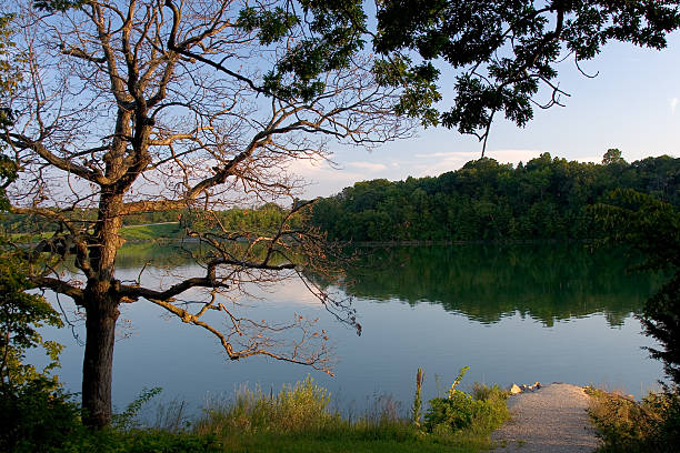 evening lake stock photo