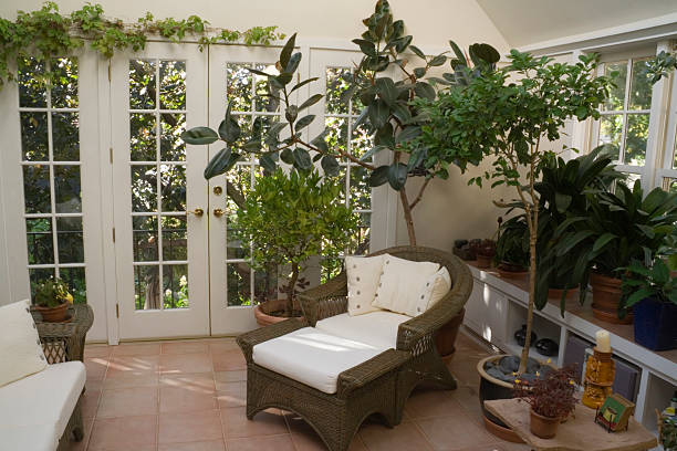 istock Conservatory and Greenhouse with indoor plants in Spa 171556642
