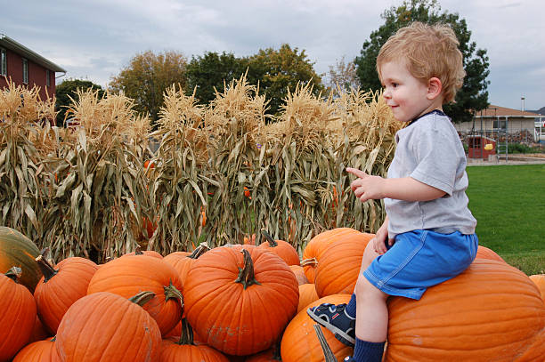 Pile of Autumn Pumkins stock photo