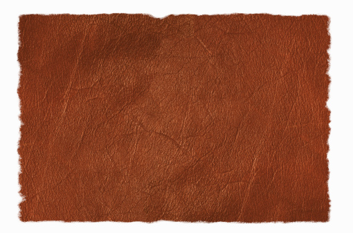 Scanned image of a piece of tanned/brown leather.