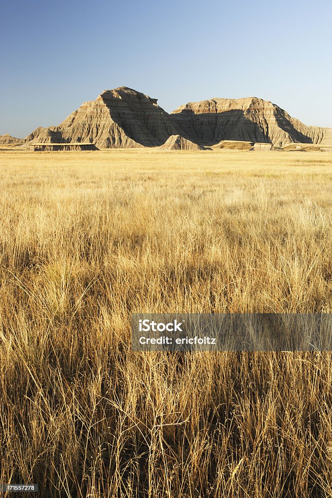 Prairie - Zbiór zdjęć royalty-free (Badlands)