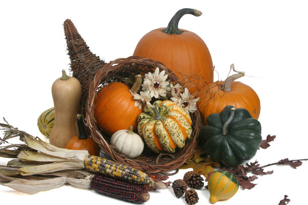 istock Autumn Harvest Series (isolated on white background) 171557890