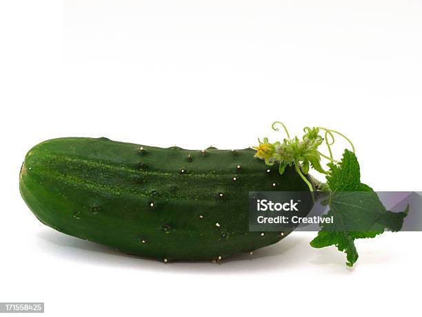 Cucumber With Flower Bud And Leave On White Background Stock Photo - Download Image Now