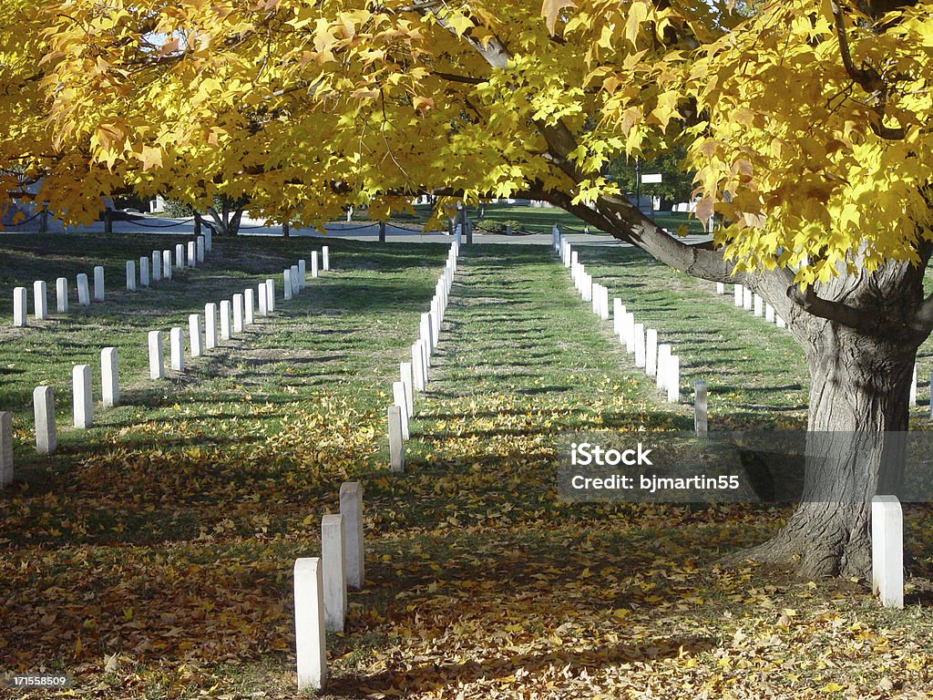 アーリントン国立墓地 - アメリカ合衆国のロイヤリティフリーストックフォト
