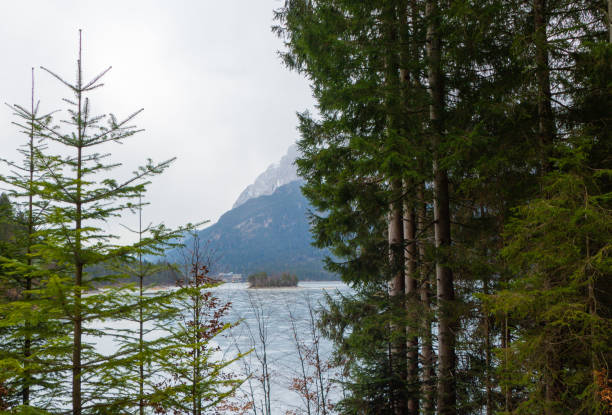 istock Mountain Lake Forest of Eibsee Germany 1715660815