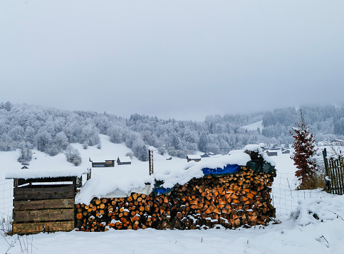 Wood Industry Winter