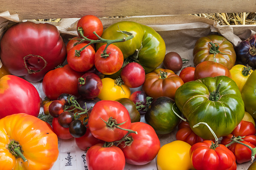 Vegetables on Markets