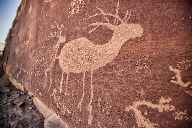 deer petroglyph - hopi stock-fotos und bilder