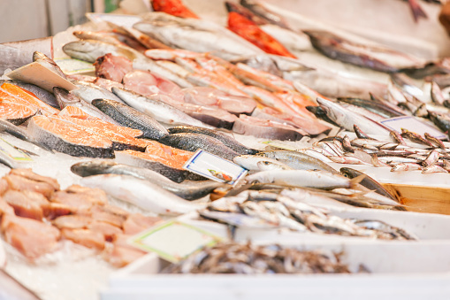 Variation of fresh fish on a fish market