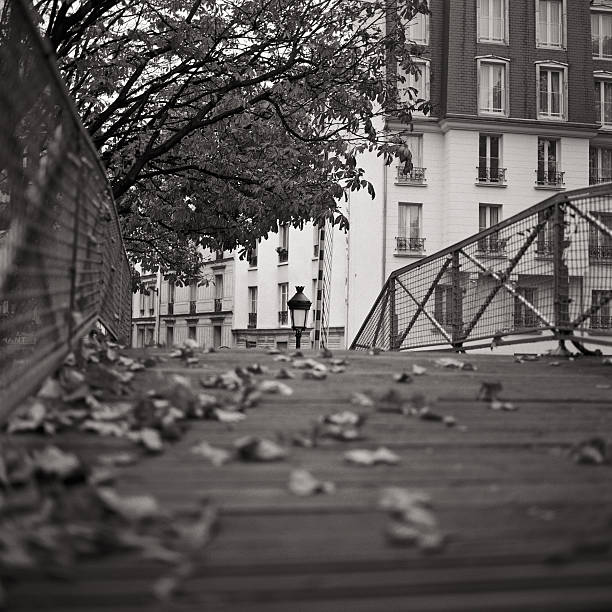 мост через канал, streetlamp, в париж - fallen leaf lake paris france france europe стоковые фото и изображения