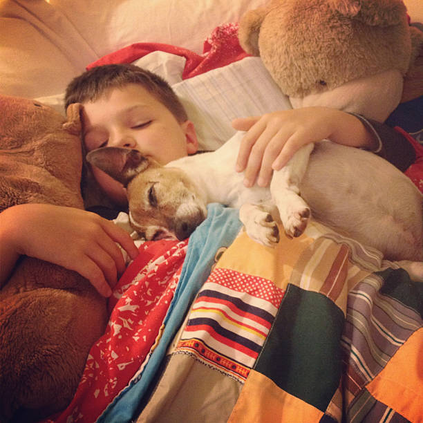 istock Young boy asleep with his dog and teddy bear 171571019