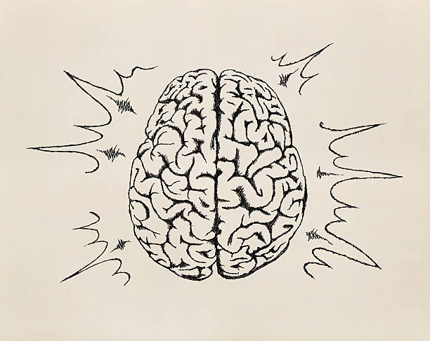 Concept of working human brain. Sketch.