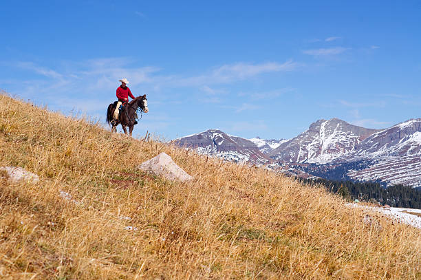 istock rocky mountain horseback riding landscape 171571068