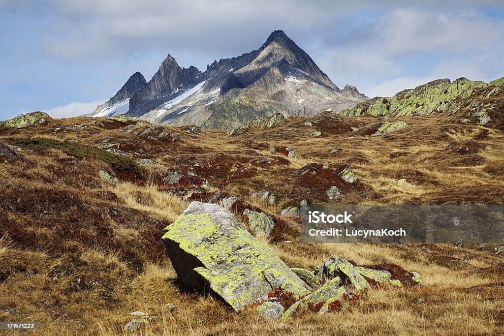 Jesień w góry - Zbiór zdjęć royalty-free (Alpy)