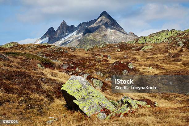 Jesień W Góry - zdjęcia stockowe i więcej obrazów Alpy - Alpy, Berneński Oberland, Berno