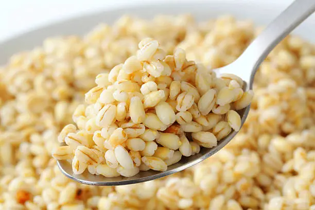 Photo of cooked peeled barley on a spoon