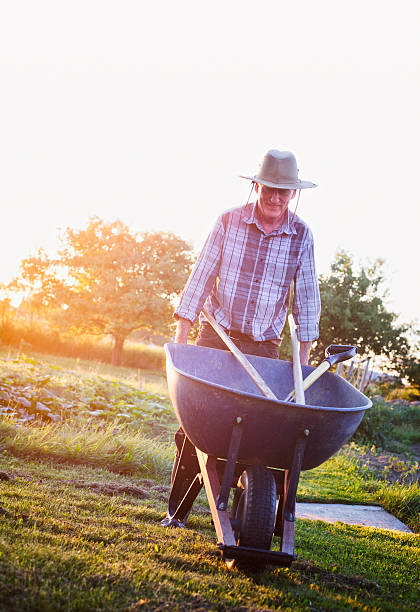 istock Content farmer pushing wheel barrow sunset vertical 171571688