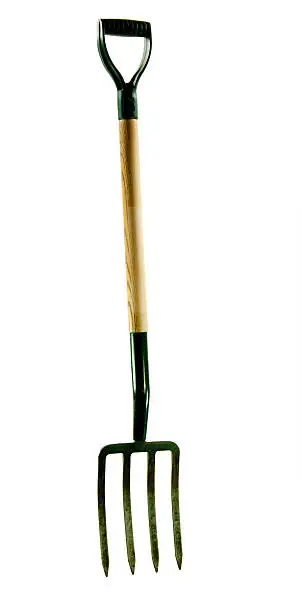 An isolated view of a garden fork (with dirt and rust on the tines)... with clipping path.