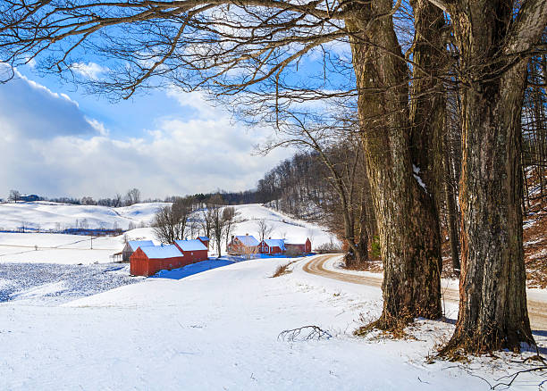snowy New England countryside in the winter snowy New England countryside, dirt road, farm, and farm buildings in the winter new england winter stock pictures, royalty-free photos & images