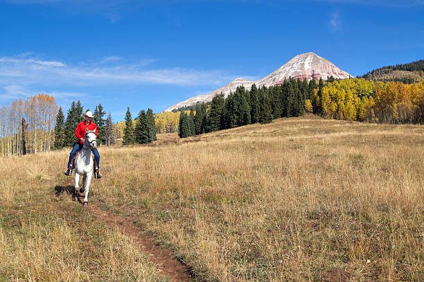 istock rocky mountain horseback autumn landscape 171571900