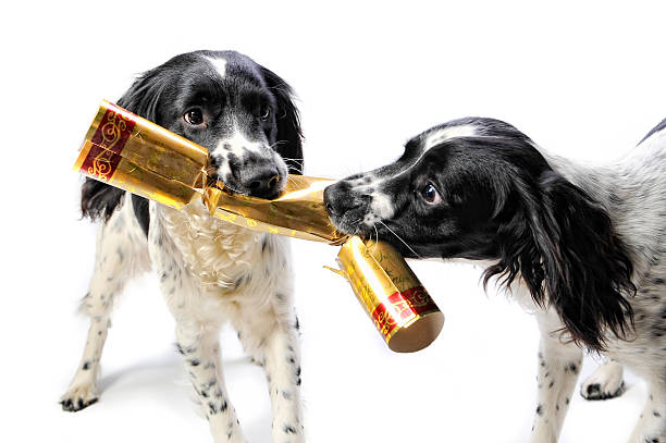istock Christmas...a time of sharing and goodwill 171572054