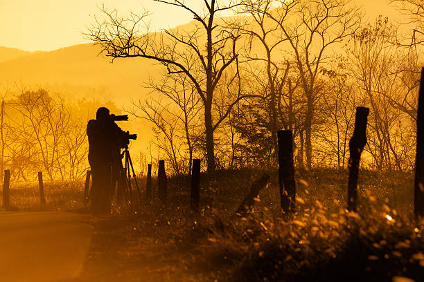 Photographers in action