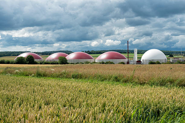 l'énergie de biomasse sous un orage s'approcher - sapprocher photos et images de collection