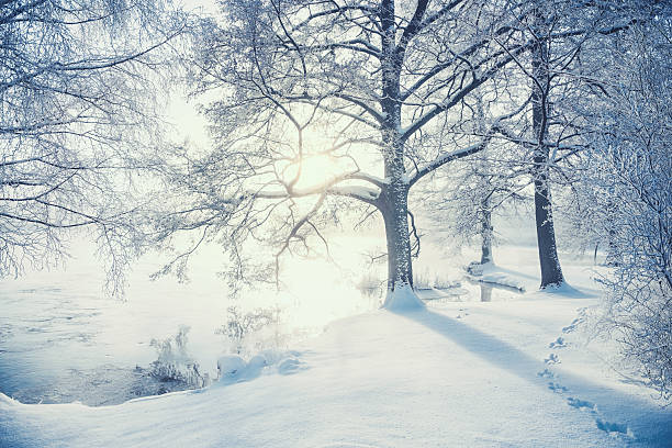 Winter in Sweden Winter landscape in snow river stock pictures, royalty-free photos & images