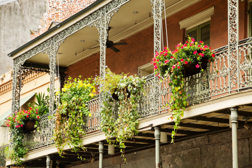 Greenery on the balcony in French Quarter, New Orleans, Louisiana.   You might also be interested in these: