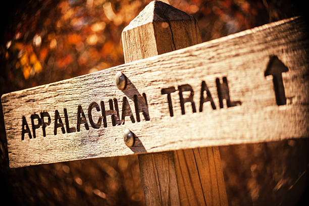 sentier des appalaches - appalachian trail dirt road footpath appalachian mountains photos et images de collection