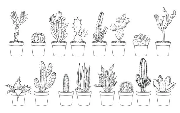 Vector illustration of Plant and succulents, potted ceramic flat line set.
